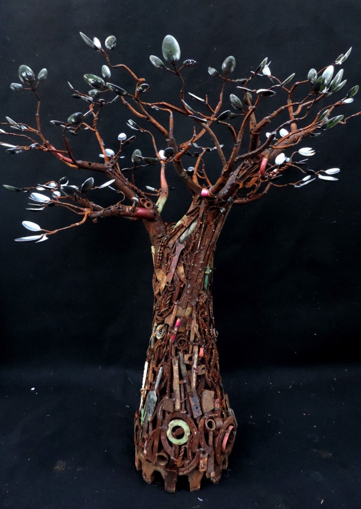 Baobab à cuillères (Adansonia n’goujensis) - Mathieu Antonio Hélio RAPP